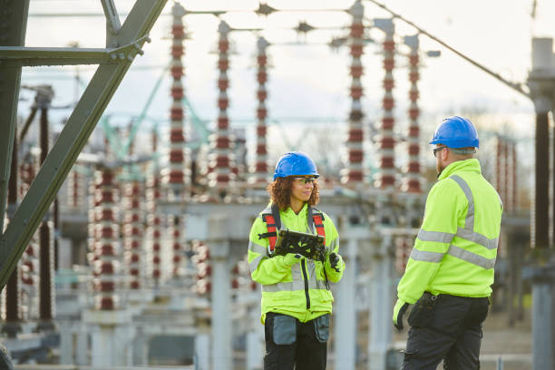 Best Electric Panel Repair  in Delta, OH